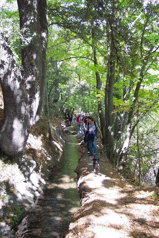 Alojamiento Rural Mirador del Avellano Alpujarra De La Sierra Exterior foto