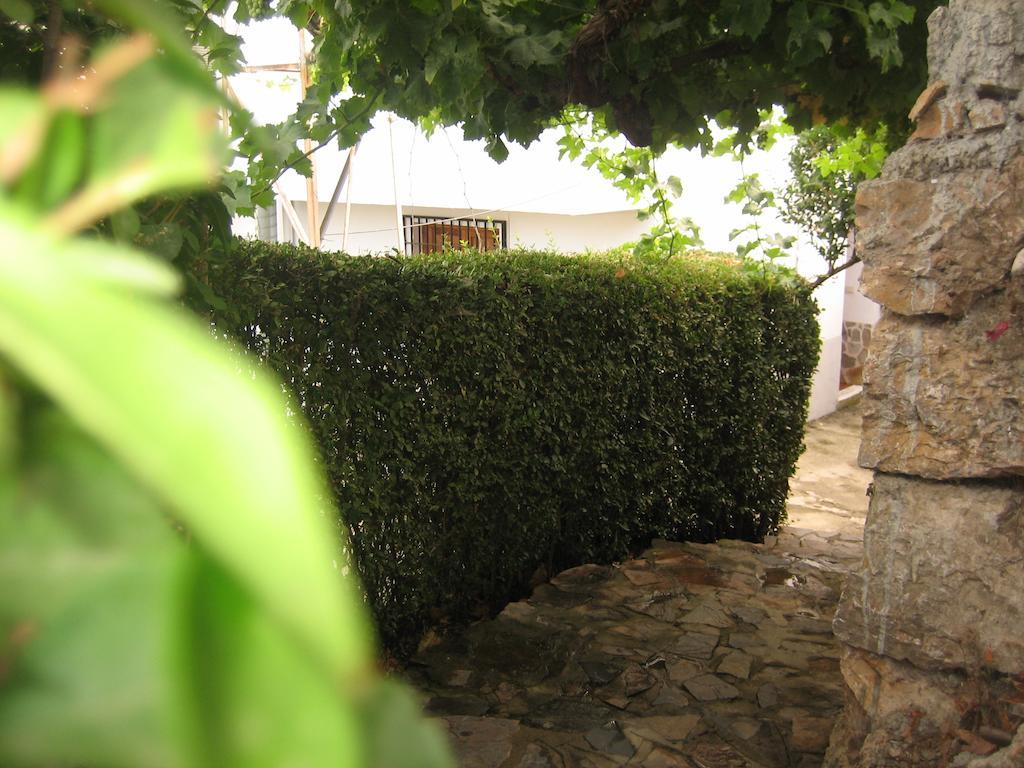 Alojamiento Rural Mirador del Avellano Alpujarra De La Sierra Exterior foto